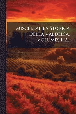bokomslag Miscellanea Storica Della Valdelsa, Volumes 1-2...