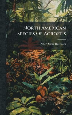 bokomslag North American Species Of Agrostis