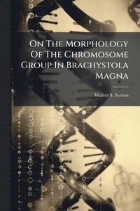 bokomslag On The Morphology Of The Chromosome Group In Brachystola Magna