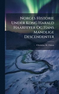 bokomslag Norges Historie Under Kong Harald Haarfeyer Og Hans Mandlige Descendenter