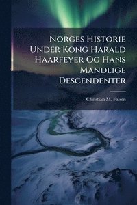 bokomslag Norges Historie Under Kong Harald Haarfeyer Og Hans Mandlige Descendenter