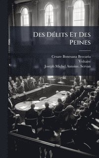 bokomslag Des DÃ(c)lits Et Des Peines