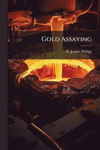 bokomslag Gold Assaying