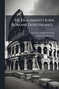 bokomslag De Fragmento Iuris Romani Dositheano...
