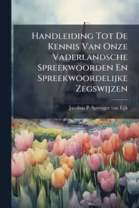 bokomslag Handleiding Tot De Kennis Van Onze Vaderlandsche Spreekwoorden En Spreekwoordelijke Zegswijzen