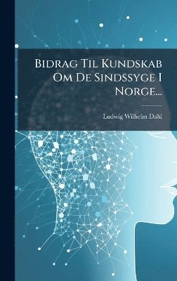 bokomslag Bidrag Til Kundskab Om De Sindssyge I Norge...