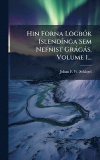 bokomslag Hin Forna LögbÃ3k Ã¿slendÃ-nga Sem Nefnist Gràgàs, Volume 1...
