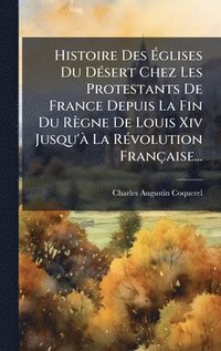 bokomslag Histoire Des Ã¿glises Du DÃ©sert Chez Les Protestants De France Depuis La Fin Du RÃ¤gne De Louis Xiv Jusqu'Ã¿ La RÃ©volution FranÃ§aise...