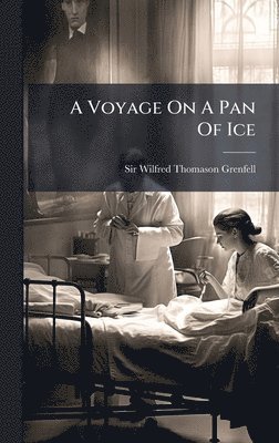 bokomslag Voyage On A Pan Of Ice