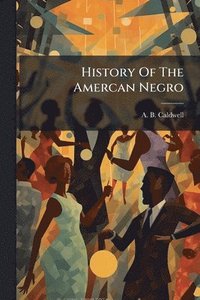 bokomslag History Of The Amercan Negro