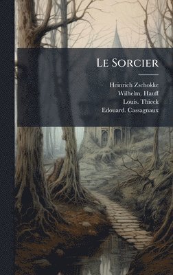 bokomslag Le Sorcier