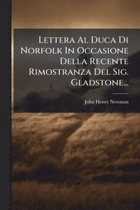 bokomslag Lettera Al Duca Di Norfolk In Occasione Della Recente Rimostranza Del Sig. Gladstone...