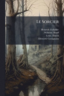 bokomslag Sorcier