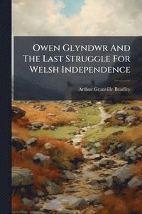 bokomslag Owen Glyndwr And The Last Struggle For Welsh Independence