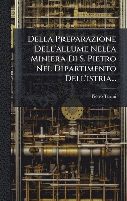 bokomslag Della Preparazione Dell'allume Nella Miniera Di S. Pietro Nel Dipartimento Dell'istria...