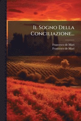 bokomslag Il Sogno Della Conciliazione...