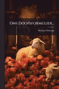 bokomslag Ons Doopsformulier...