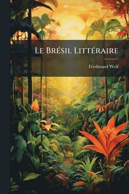 Ferdinand Wolf - BrÃ(c)sil LittÃ(c)raire, Häftad