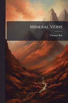 bokomslag Mineral Veins
