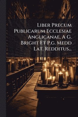 bokomslag Liber Precum Publicarum Ecclesiae Anglicanae, A G. Bright Et P.g. Medd Lat. Redditus...