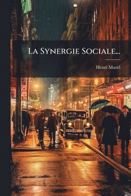 bokomslag Synergie Sociale...