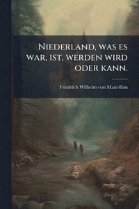 bokomslag Niederland, was es war, ist, werden wird oder kann.