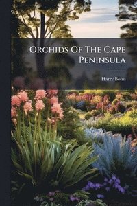 bokomslag Orchids Of The Cape Peninsula
