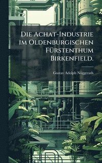 bokomslag Die Achat-Industrie im Oldenburgischen FÃ¼rstenthum Birkenfield.