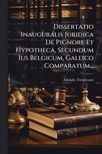 bokomslag Dissertatio Inauguralis Juridica De Pignore Et Hypotheca, Secundum Ius Belgicum, Gallico Comparatum...