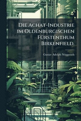 bokomslag Die Achat-Industrie im Oldenburgischen FÃ1/4rstenthum Birkenfield.