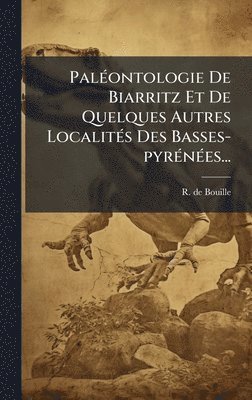 bokomslag PalÃ(c)ontologie De Biarritz Et De Quelques Autres LocalitÃ(c)s Des Basses-pyrÃ(c)nÃ(c)es...