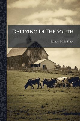 bokomslag Dairying In The South