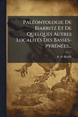 bokomslag PalÃ(c)ontologie De Biarritz Et De Quelques Autres LocalitÃ(c)s Des Basses-pyrÃ(c)nÃ(c)es...