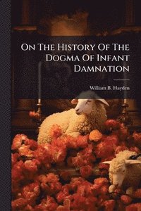 bokomslag On The History Of The Dogma Of Infant Damnation