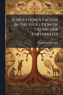 bokomslag Is Mutation A Factor In The Evolution Of The Higher Vertebrates