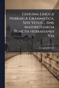 bokomslag Genuina LinguÃ] HebraicÃ] Grammatica, Sive Vetus ... Sine Masoretharum Punctis Hebraisandi Via