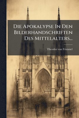 bokomslag Apokalypse In Den Bilderhandschriften Des Mittelalters...