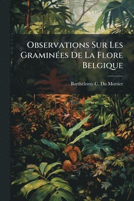 bokomslag Observations Sur Les GraminÃ(c)es De La Flore Belgique