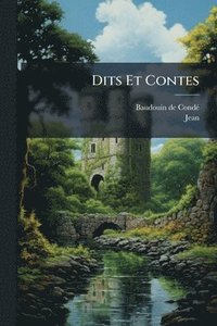 bokomslag Dits Et Contes