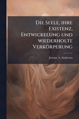 bokomslag Seele, ihre Existenz, Entwickelung und wiederholte Verkörperung