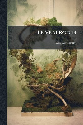 bokomslag Vrai Rodin