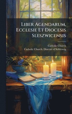 bokomslag Liber Agendarum, Ecclesie Et Diocesis Sleszwicensis