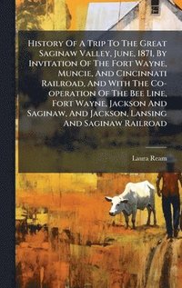 bokomslag History Of A Trip To The Great Saginaw Valley, June, 1871, By Invitation Of The Fort Wayne, Muncie, And Cincinnati Railroad, And With The Co-operation Of The Bee Line, Fort Wayne, Jackson And Sagin...