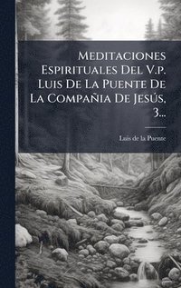 bokomslag Meditaciones Espirituales Del V.p. Luis De La Puente De La Compañia De JesÃ°s, 3...
