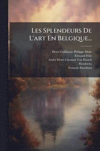 bokomslag Les Splendeurs De L'art En Belgique...