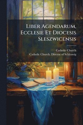 bokomslag Liber Agendarum, Ecclesie Et Diocesis Sleszwicensis