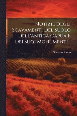 bokomslag Notizie Degli Scavamenti Del Suolo Dell'antica Capua E Dei Suoi Monumenti...