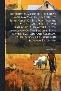 bokomslag History Of A Trip To The Great Saginaw Valley, June, 1871, By Invitation Of The Fort Wayne, Muncie, And Cincinnati Railroad, And With The Co-operation Of The Bee Line, Fort Wayne, Jackson And Sagin...