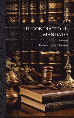 bokomslag Il Contratto Di Mandato