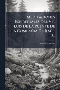 bokomslag Meditaciones Espirituales Del V.p. Luis De La Puente De La Compañia De JesÃ°s, 3...